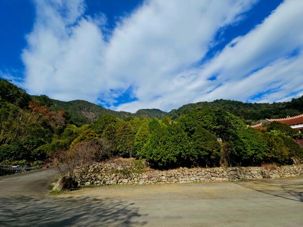 東卯山-谷關七雄(老五)2991616