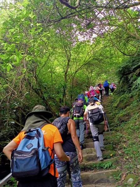 銀河洞瀑布→銀河洞越嶺步道→樟湖步道→待老坑山→杏花林→樟湖山→樟山寺→飛龍步道→政大→動物園門口1764747