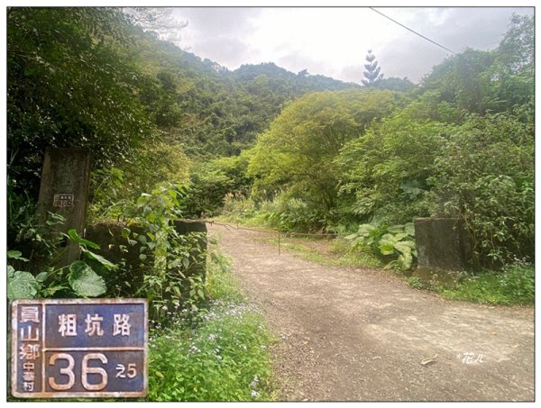 冷埤、粗坑山、血藤之旅3020358