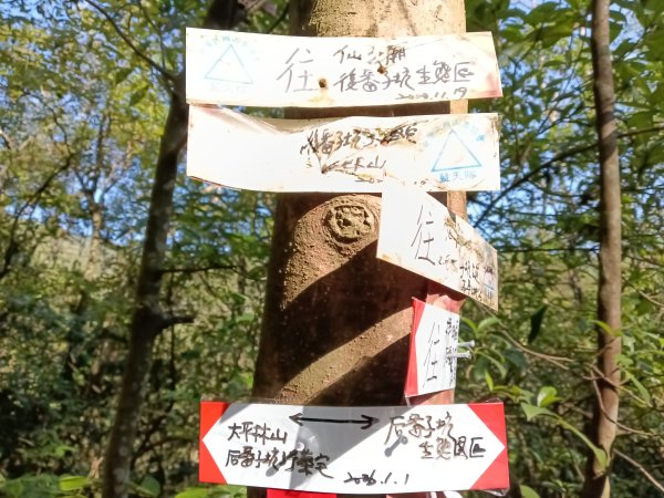 雙溪區大平林山+后番子坑古厝+后番子坑山+武山煤礦事務所+焦炭窯O型2988526