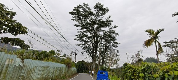 2025/02/08_苦苓腳古道2709259