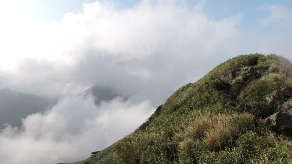 再見陽明山雲海1205234