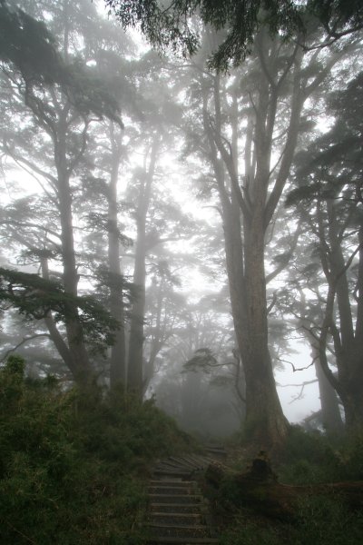 高雄 桃源 台東 海端 庫哈諾辛山 關山嶺山2832197
