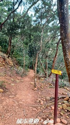 【苗栗三義】台灣百大必訪步道。 火炎山、南鞍古道O繞x火炎山下花海2954165