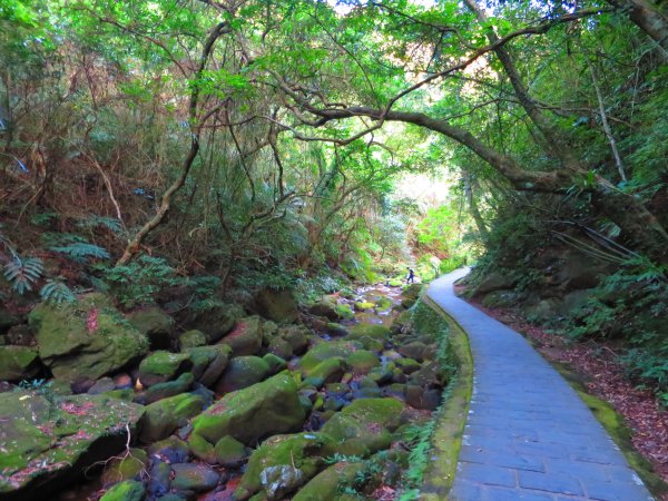 龍年首登的好選擇，鯉躍龍門，搭捷運來內湖爬三尖，鯉魚山、忠勇山、圓覺尖2426558