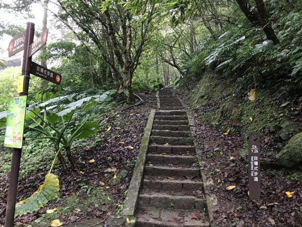 109年12月12日 新北 滿月圓森林遊樂區1365672