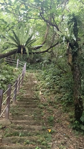 雙溪區雙溪八景之蝠山遠眺、苕谷觀瀑二景3108236