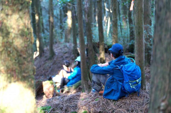 漫步樂山舊鐵道1612746