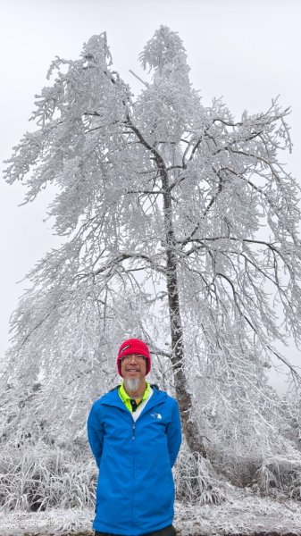 我的2025 第三場雪 #翠峰湖步道 #望洋山 #金翼白眉  2/92708864