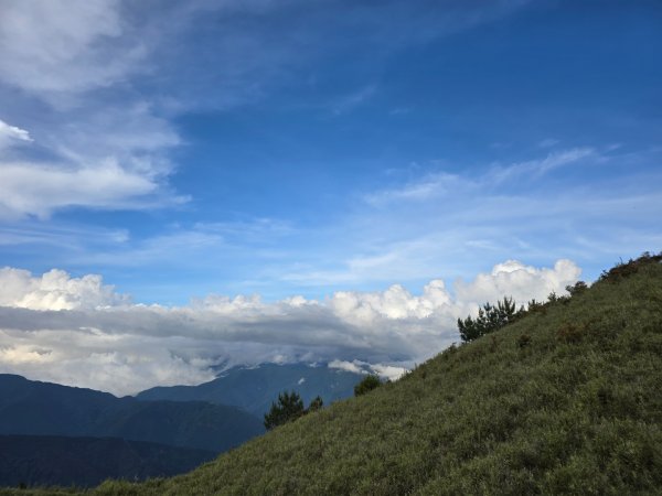 志佳陽大山（回程走高繞環山獵人登山步道）2542197