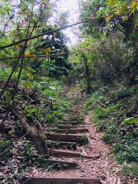 大坑6.7.10號565807