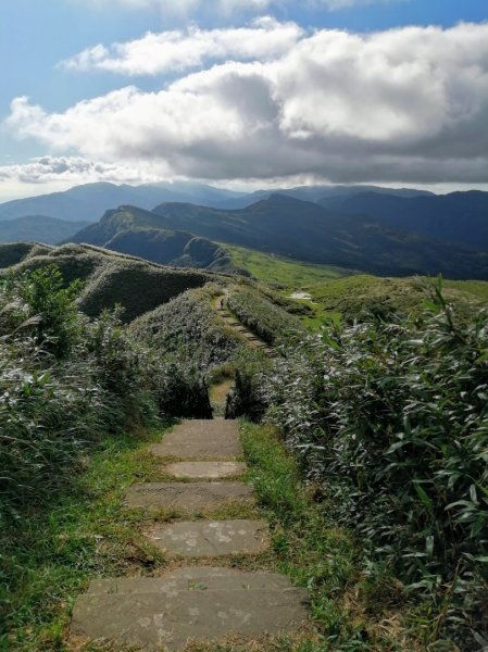 初訪草嶺古道870775