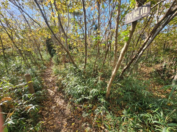 20251128橫須賀軍港遊船+鎌倉大佛步道2962736