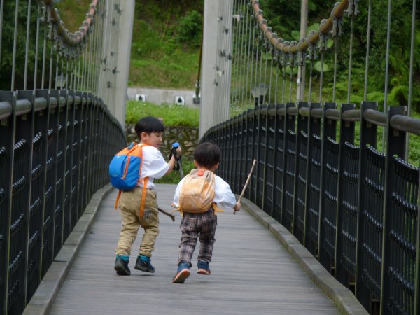 阿興阿賢太平山鳩之澤步道617791