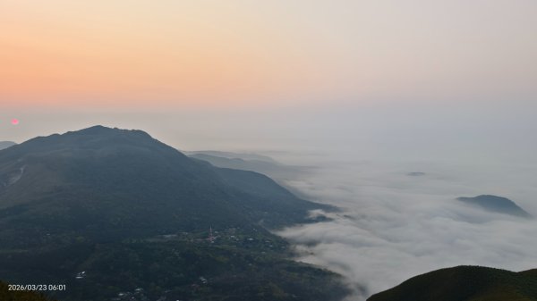 #大屯山 #日出 #雲海 #琉璃光 #橘咖啡 #吉野櫻 3/233020520