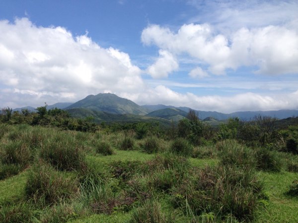 荷蘭古道-北五指山-擎天崗-內寮古道558280