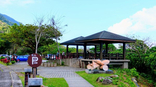 洄瀾東海岸3006756