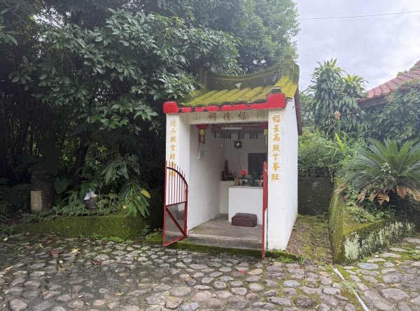 [樟之細路_第二大段RSA23] 2026_0823 茶亭古道3121948