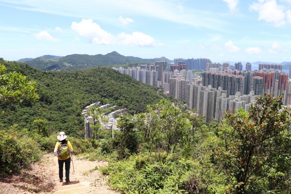 HK - 鷓鴣山1044403