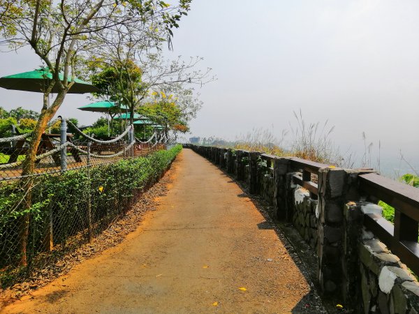 八卦山山脈最高峰。編號48小百岳 橫山754287