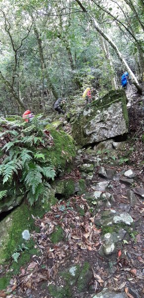 大霸群峰之旅596234