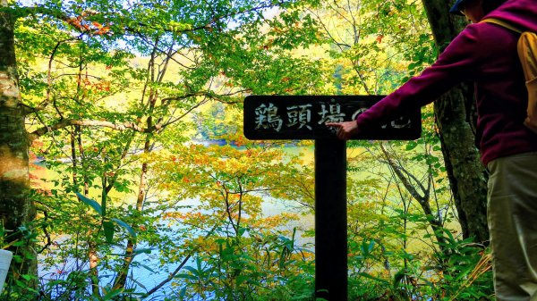 秋田縣白神山地十二湖2929763