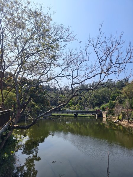峨眉湖O繞連走十二寮山+蓬萊溪護魚步道3022334