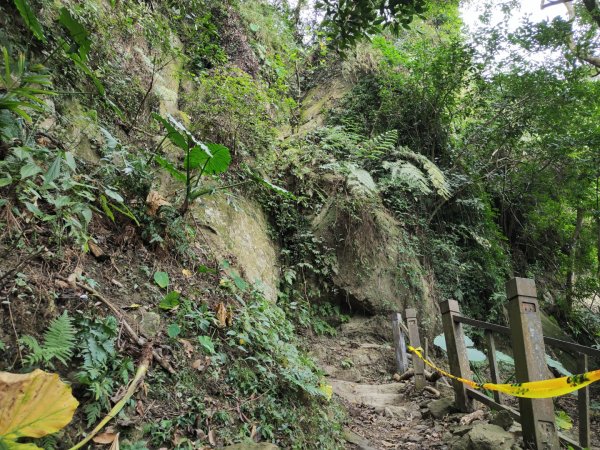 2023.12.23 崁頭山2833309