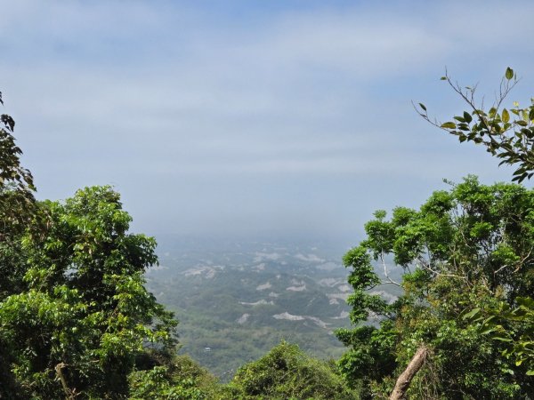 龍麟山步道2748677