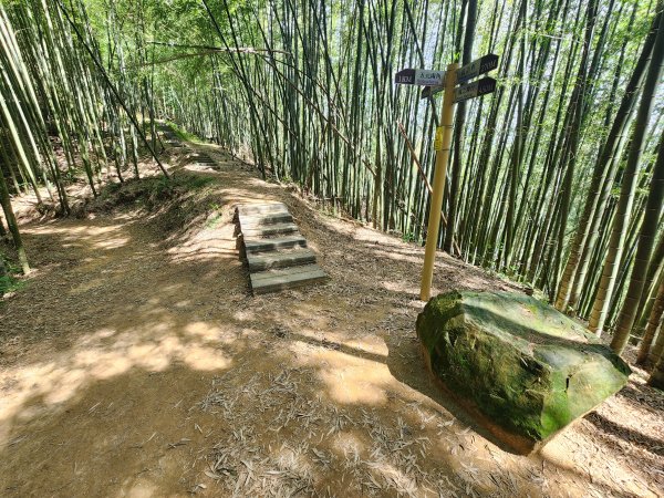 20251004雲頂之丘番子田山2927209