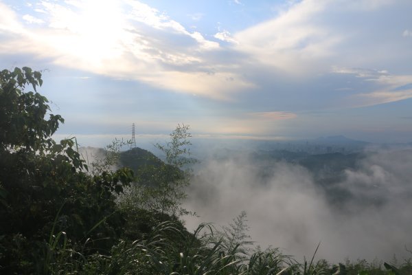 雨後猴山坑山嵐飄渺2579432