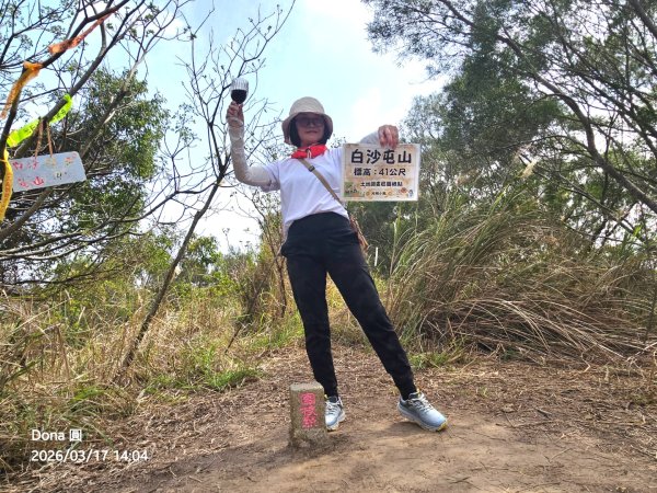 白沙屯山(飯店山).通宵虎頭山＆神社.塗崁頂山.新埔福德山3017977