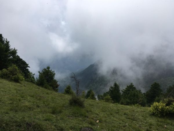 鹿林山388537