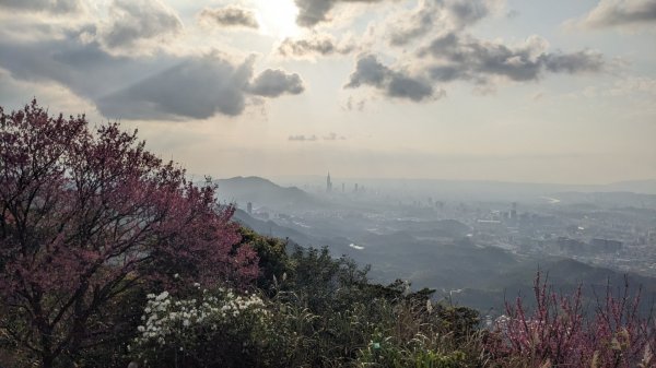 汐止大尖山 天秀宮停車場起登2056835