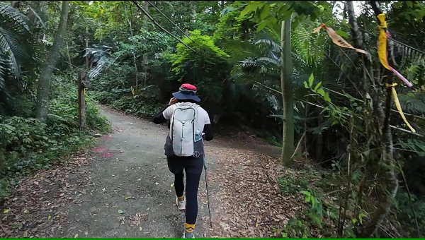 白毛山(谷關七雄No:6)3069007