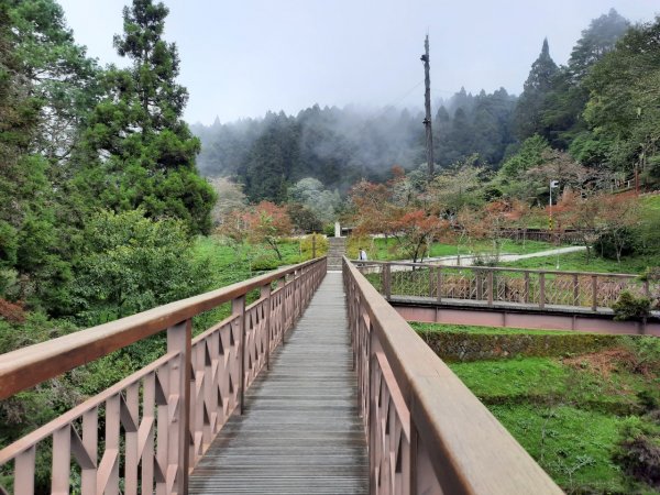 阿里山  小笠原觀景台~對高岳2444米1115174