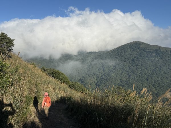 二子坪步道 經遊憩區 上面天山 202511082935058