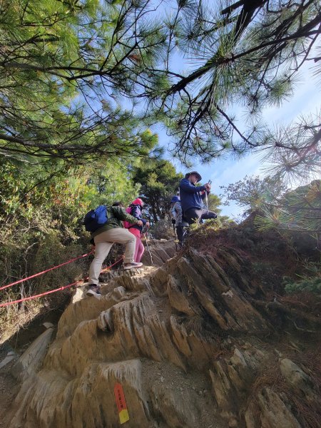 【南投 | 仁愛】合歡北峰賞高山杜鵑1371155