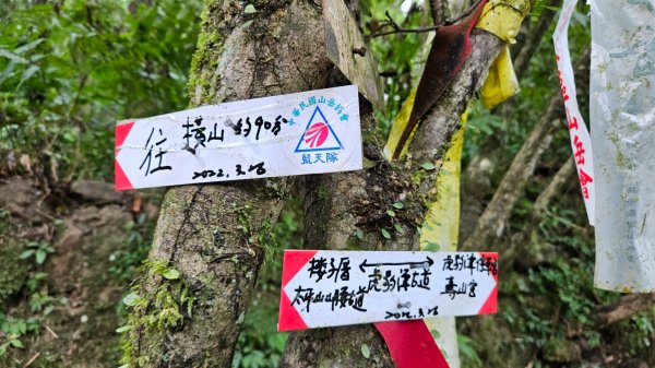 虎豹潭古道、大平山腰古道、樓仔厝古道O型走2232414