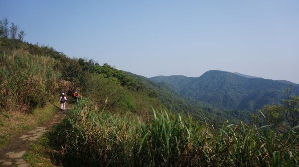 陽明山東段縱走1926573