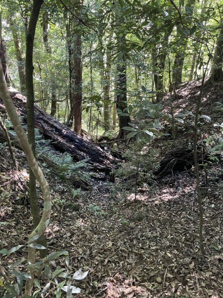 加里山隘勇線2913129