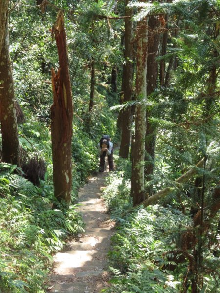 仙山登山步道O形走+小百岳No.33仙山2715844