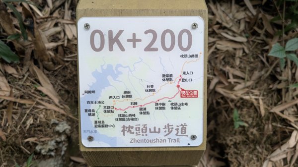 115.05.23枕頭山-枕頭山西峰-薑母島之旅3061275