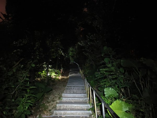 [漫遊縱谷 愛在花東-10/10] 2025_1012 美崙山步道2913587