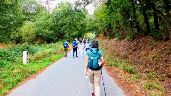 西班牙朝聖法國之路115KM, Day23125670