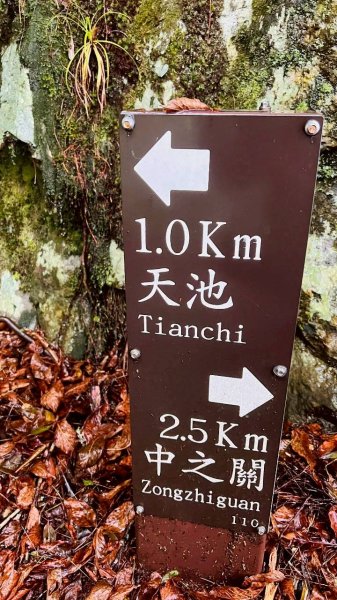 🌈4/6（一）關山越嶺古道-中之關古道✨FB：熊熊趴爬走~歡迎加入🌈3031203