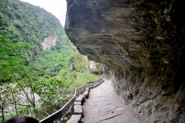 砂卡礑步道,小錐麓步道545634