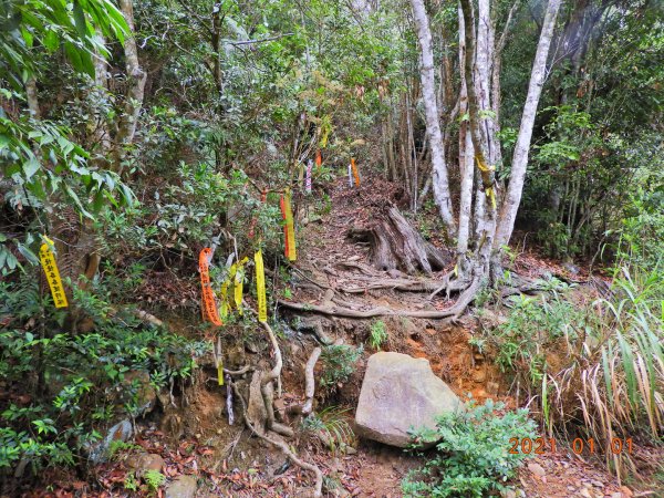 南投 埔里 關刀山1222502