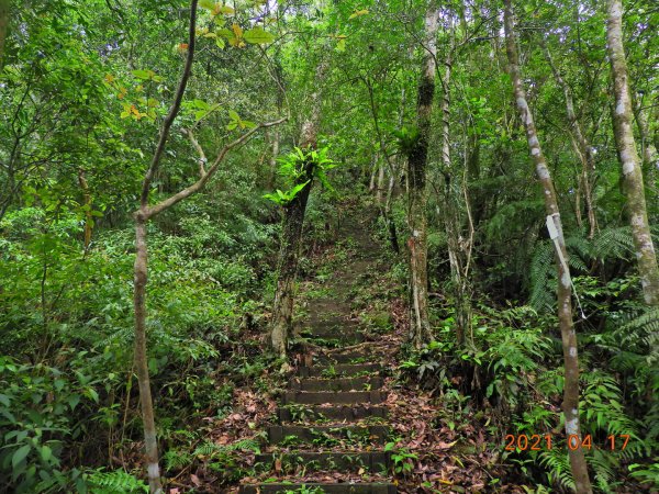 新北 坪林 開眼崙山1352175