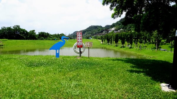 山佳荷花池2172761